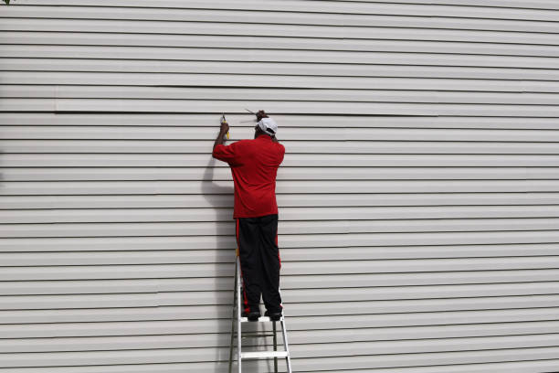 Best Fiber Cement Siding Installation  in Loogootee, IN
